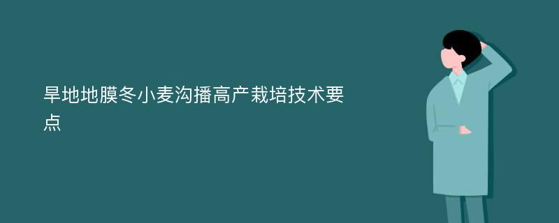 旱地地膜冬小麦沟播高产栽培技术要点