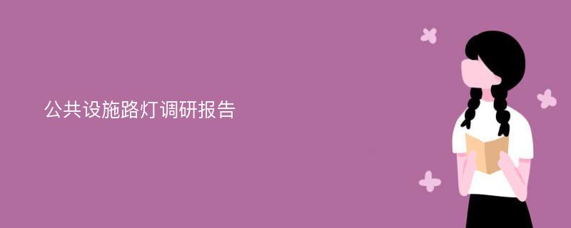 公共设施路灯调研报告