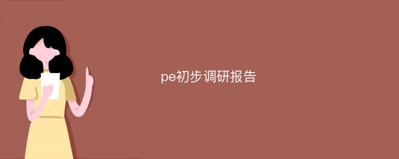 pe初步调研报告