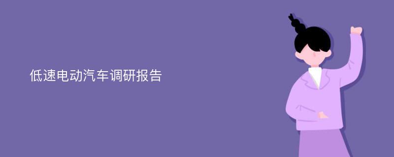 低速电动汽车调研报告