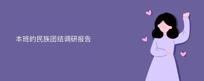 本班的民族团结调研报告