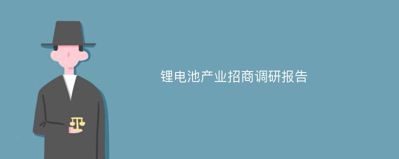 锂电池产业招商调研报告