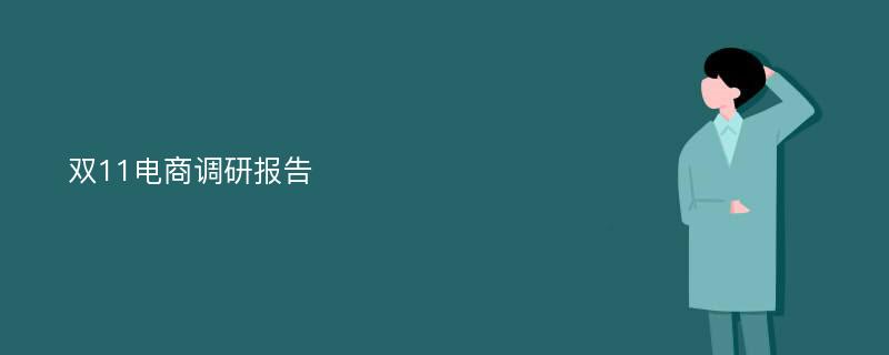 双11电商调研报告