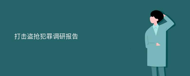 打击盗抢犯罪调研报告