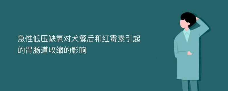 急性低压缺氧对犬餐后和红霉素引起的胃肠道收缩的影响