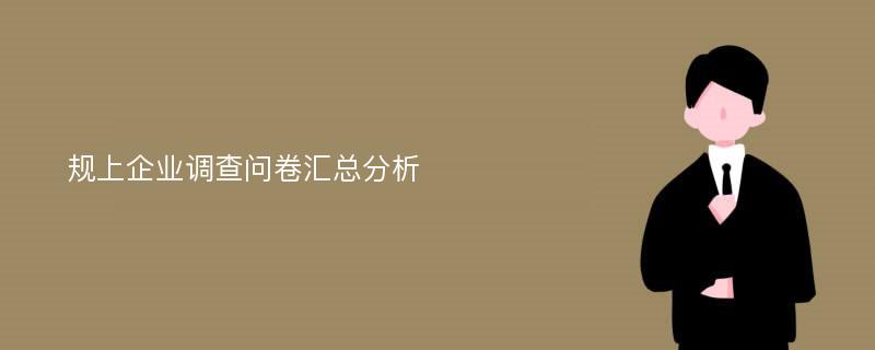 规上企业调查问卷汇总分析