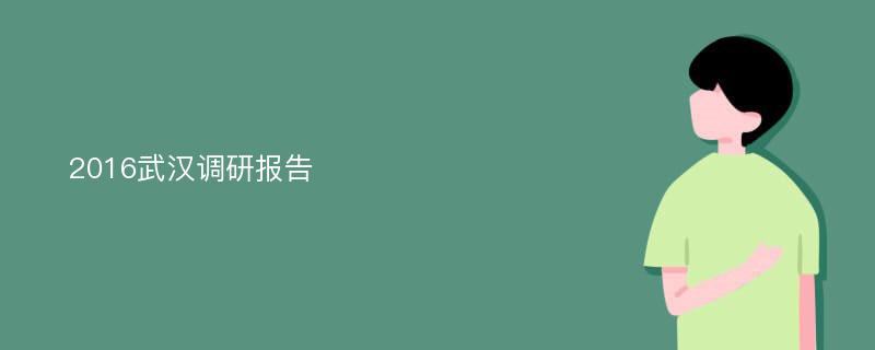 2016武汉调研报告